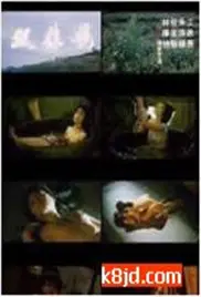 姐妹情深？亦或相爱相杀？《双姝艳》镜头下的爱与嫉妒