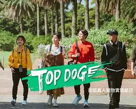 《TOP DOG》：硬汉警探与警犬的生死搭档，当忠诚与正义碰撞，一场感人至深的追缉之旅！