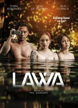 《湖畔危情》：隐藏在宁静湖水下的暗流涌动，一场关于信任与背叛的惊魂奏鸣曲