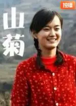 《山菊》：都市丛林中的治愈之歌，聆听心底最纯粹的声音